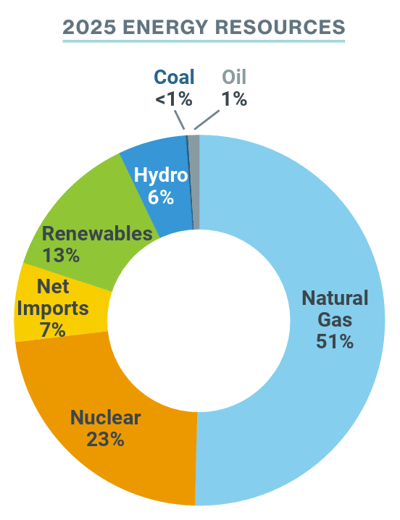 2025 energy resources