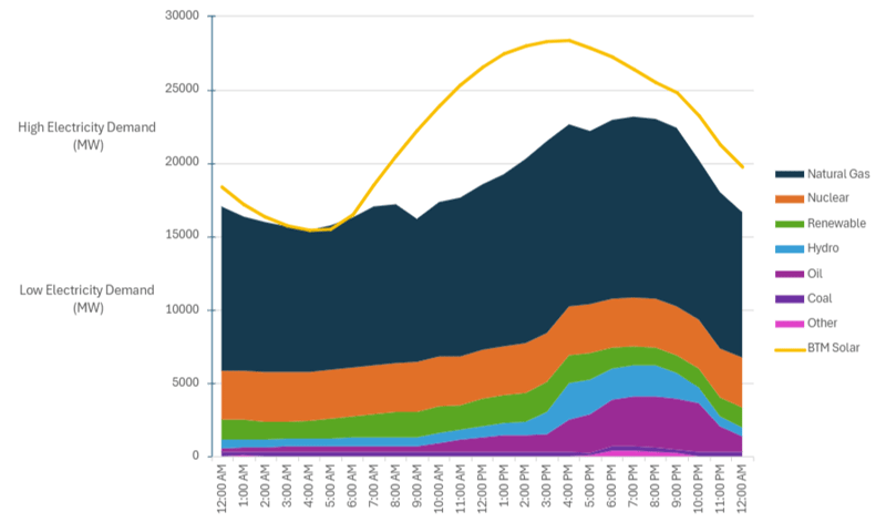 Fuel Mix Summer Day June 2025-1