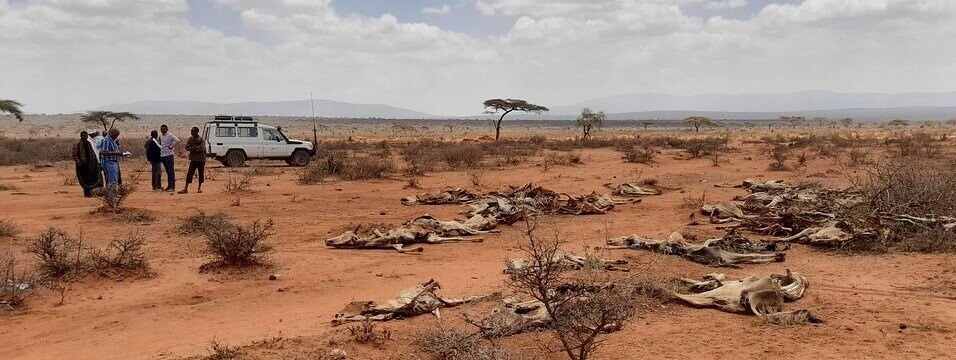 ethiopia drought 2