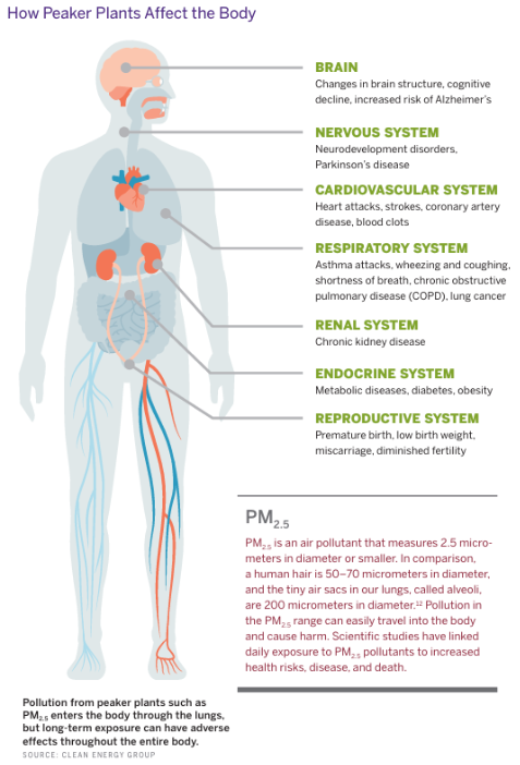 A diagram of a human body

AI-generated content may be incorrect.